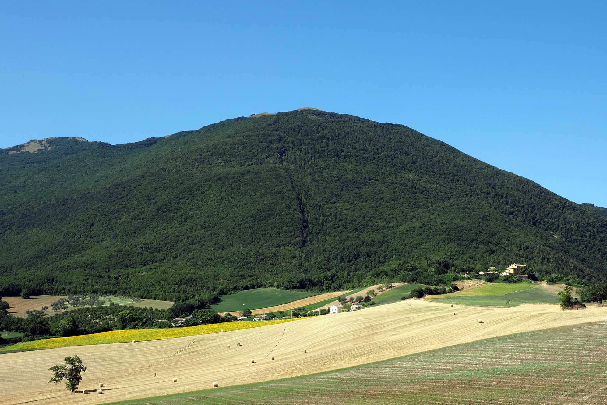 colline e campi azienda agricola monte gemmo nelle marche